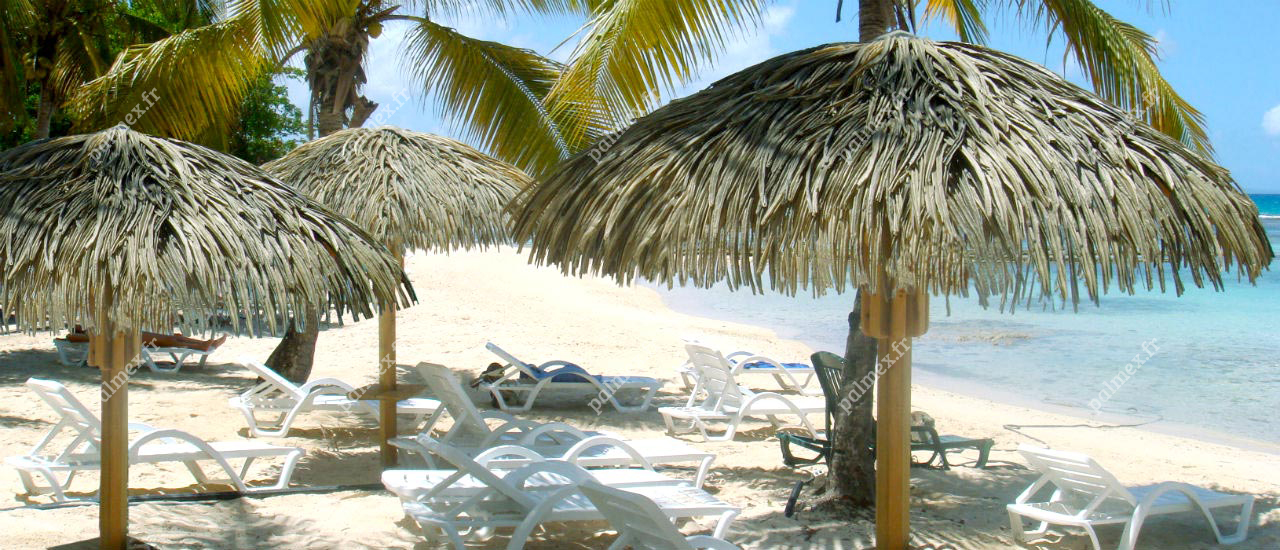 parasol en paille exotique Guadeloupe