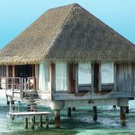 Club Med Kani Overwater bungalow with Exotic roofing Palmex