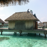 Club Med Kani Overwater bungalow with Exotic roof Palmex