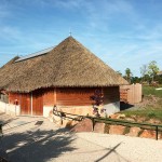 ZooParc de Beauval with exotic roof Palmex